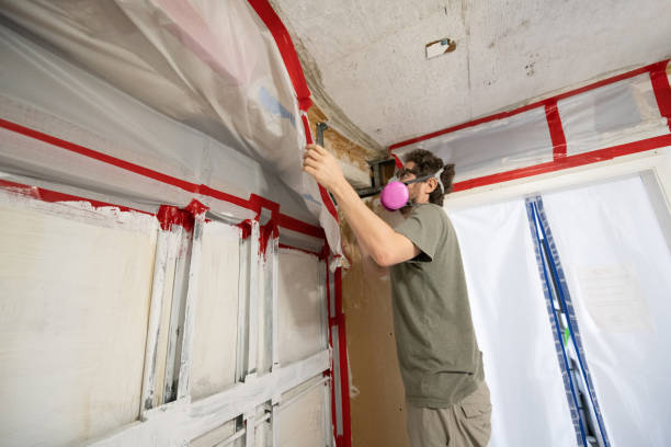 Environmental Consulting for Mold Prevention in Chamberlain, SD