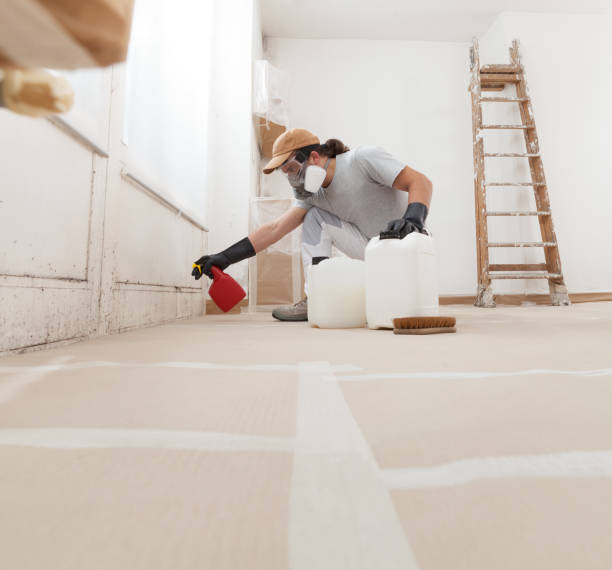 Mold Odor Removal Services in Chamberlain, SD